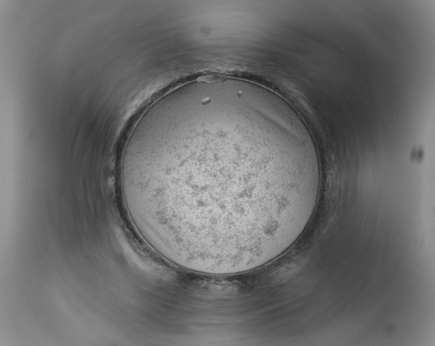 X0000112740443200909101519