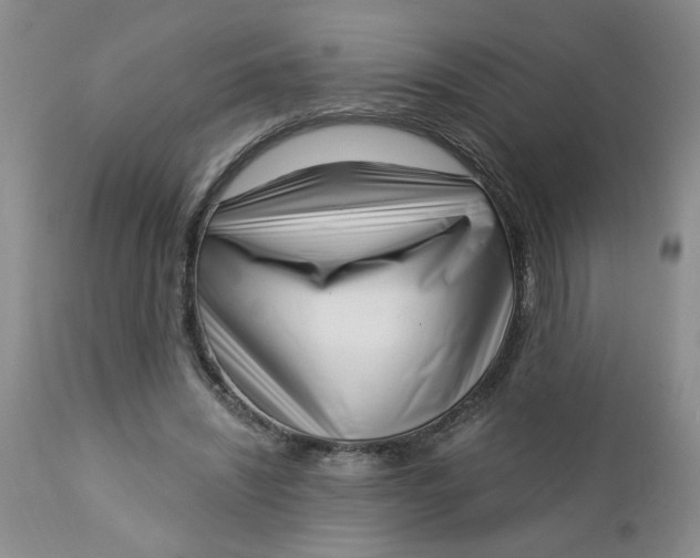 X0000112740444200909101519