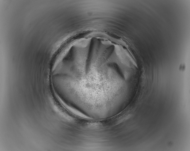 X0000112740446200909101519