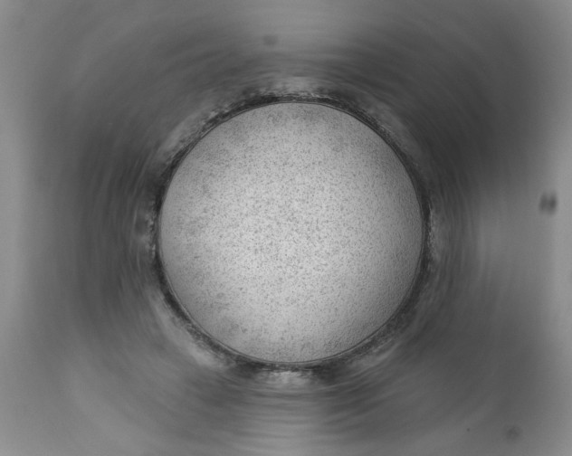 X0000112740449200909101519