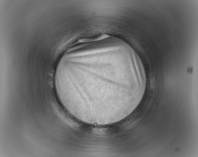 X0000112740450200909101519