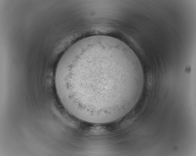 X0000112740451200909101519