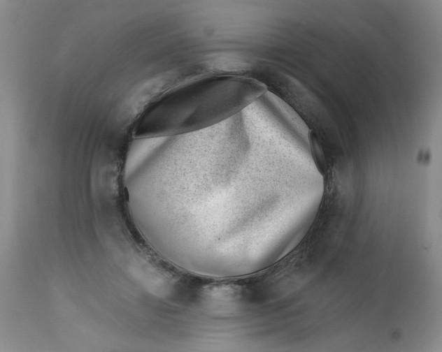 X0000112740452200909101519