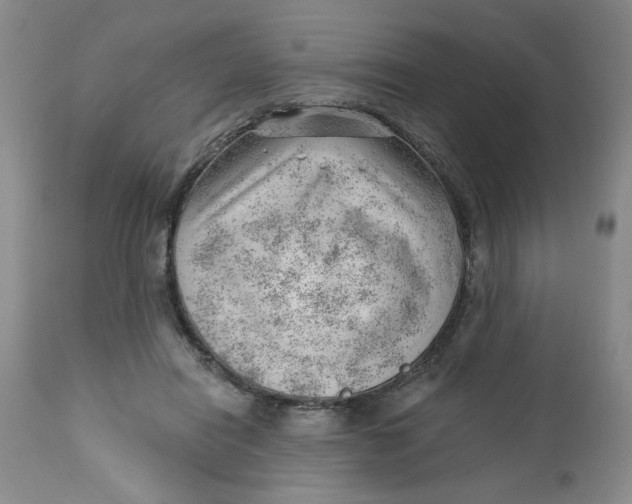 X0000112740454200909101519