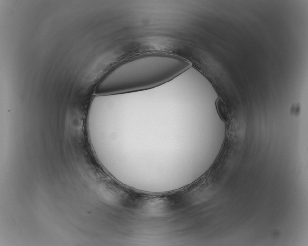 X0000112740456200909101519