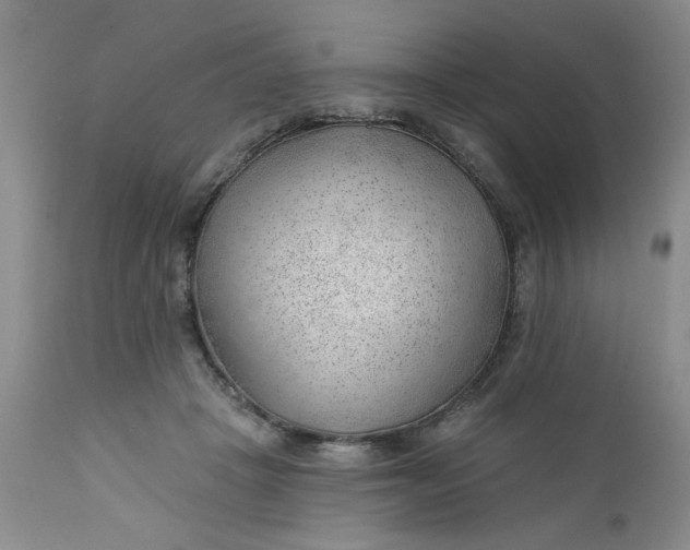 X0000112740457200909101519