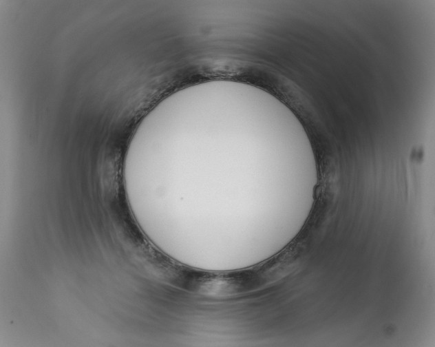 X0000112740460200909101519