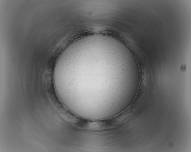 X0000112740461200909101519