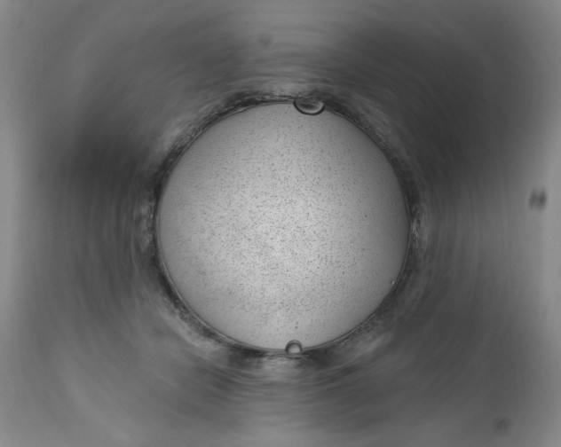 X0000112740462200909101519