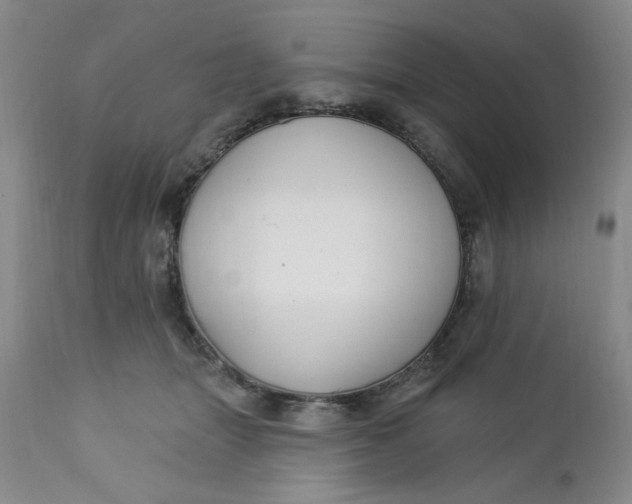 X0000112740463200909101519