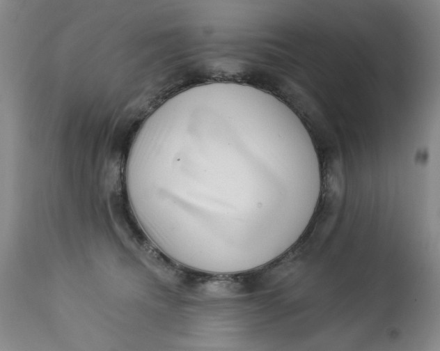 X0000112740468200909101520