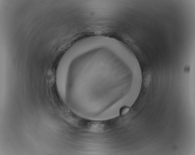 X0000112740471200909101520