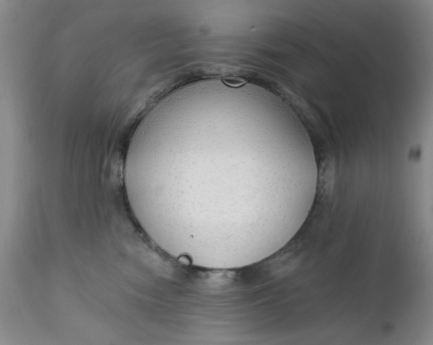 X0000112740474200909101520