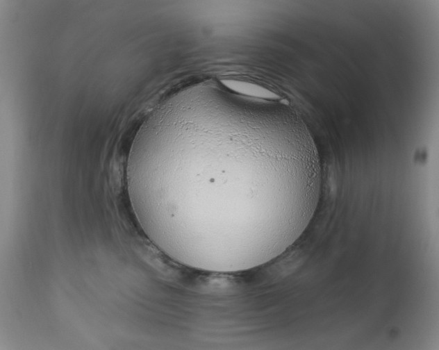 X0000112740475200909101520