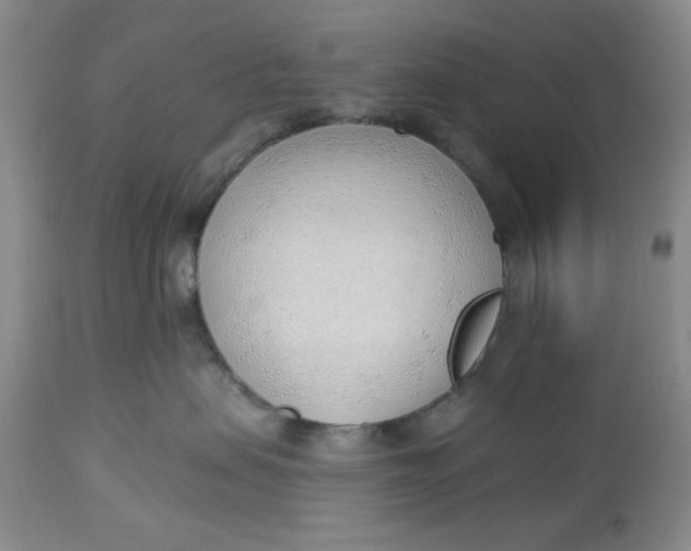 X0000112740479200909101520