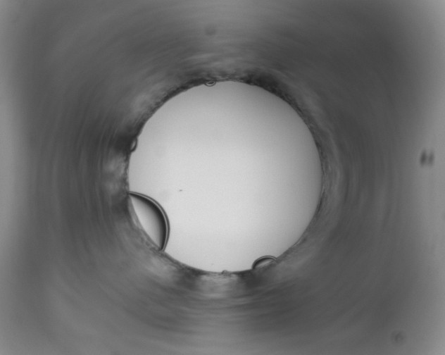 X0000112740480200909101520