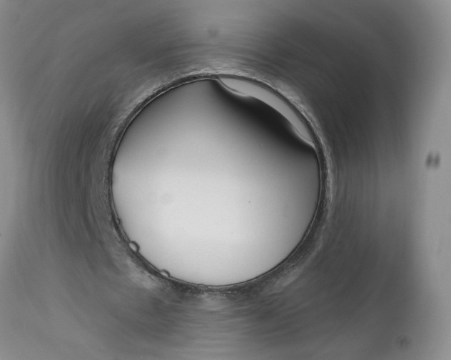 X0000112740481200909101519