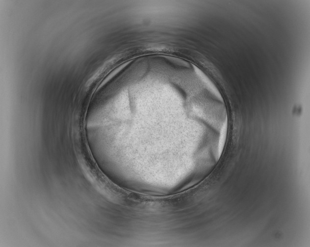 X0000112740482200909101519