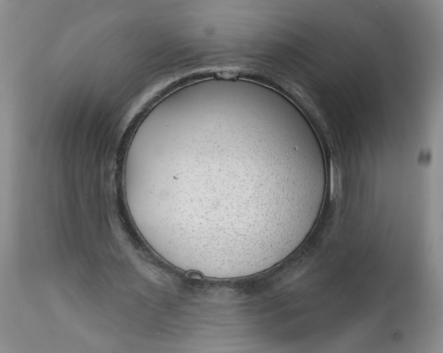 X0000112740483200909101519