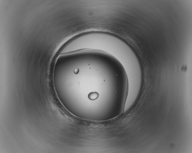 X0000112740484200909101519