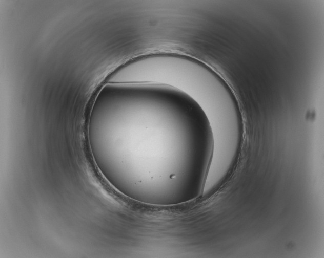 X0000112740485200909101519