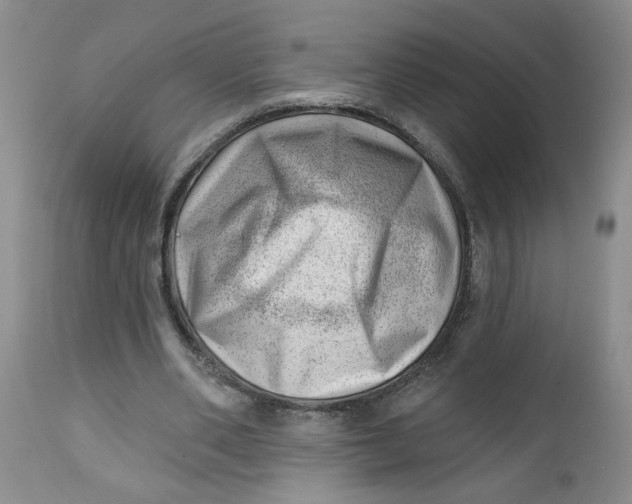 X0000112740486200909101519