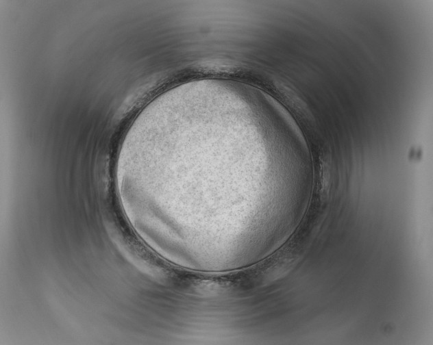 X0000112740494200909101519