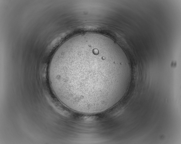 X0000112740495200909101519