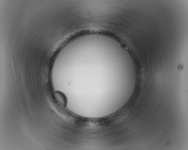 X0000112740496200909101519