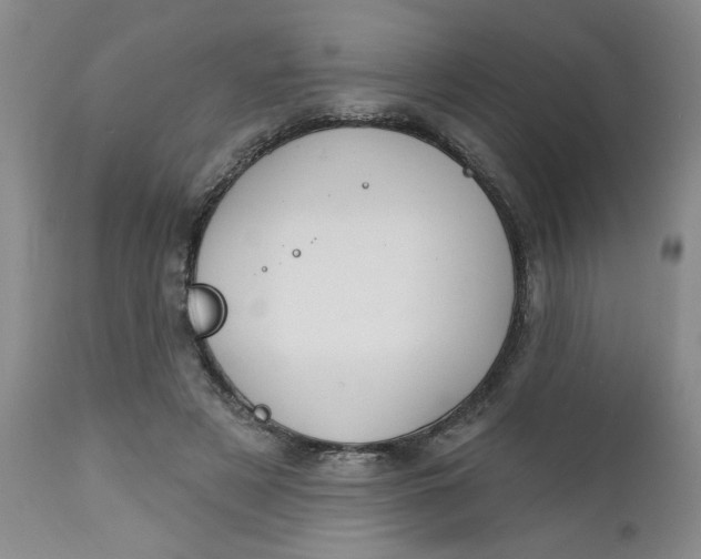 X0000112740497200909101519