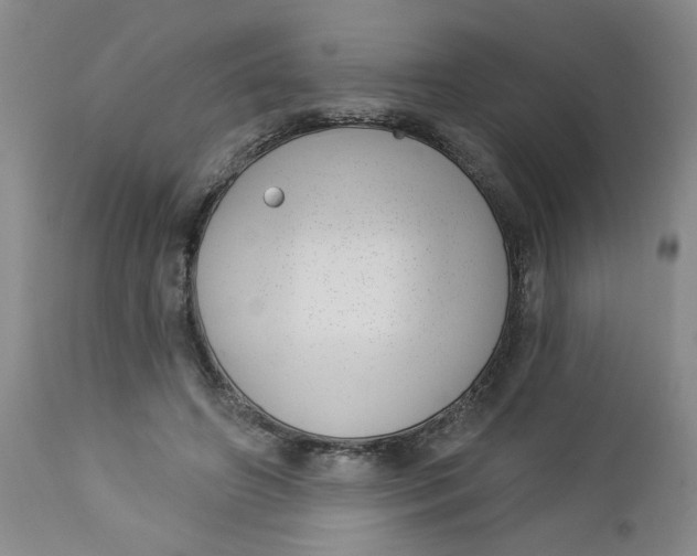 X0000112740498200909101519