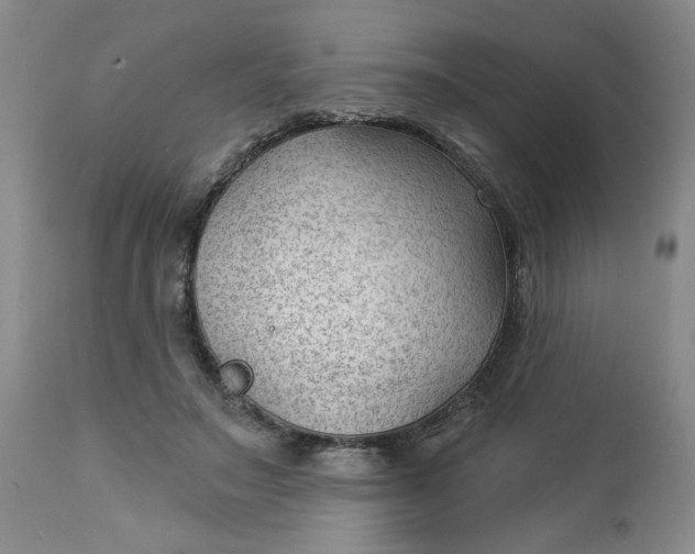 X0000112740499200909101519