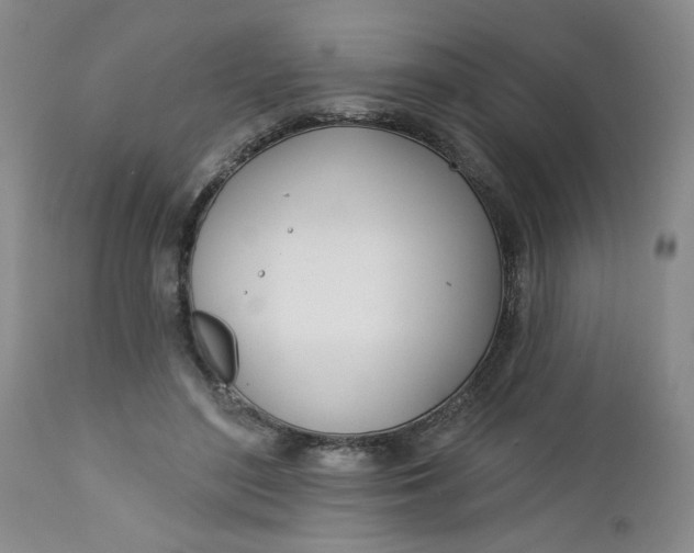 X0000112740500200909101519