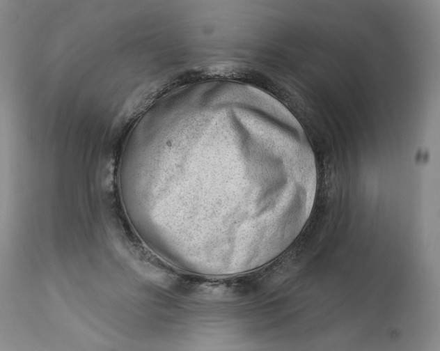 X0000112740502200909101519