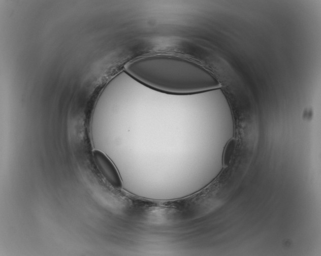 X0000112740504200909101519