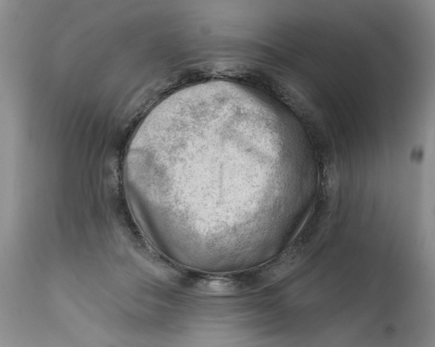 X0000112740506200909101519