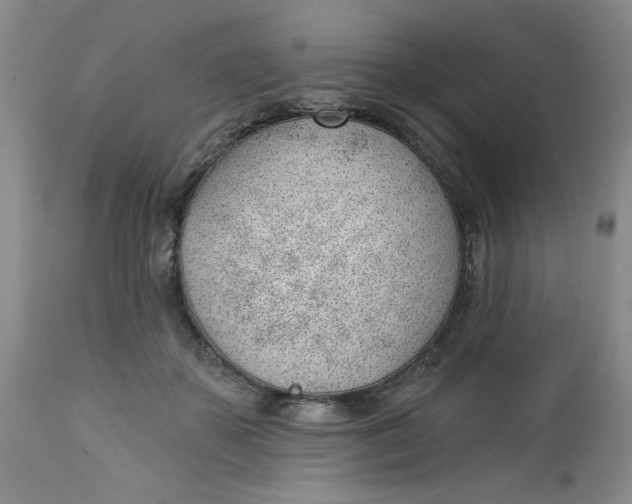 X0000112740507200909101519