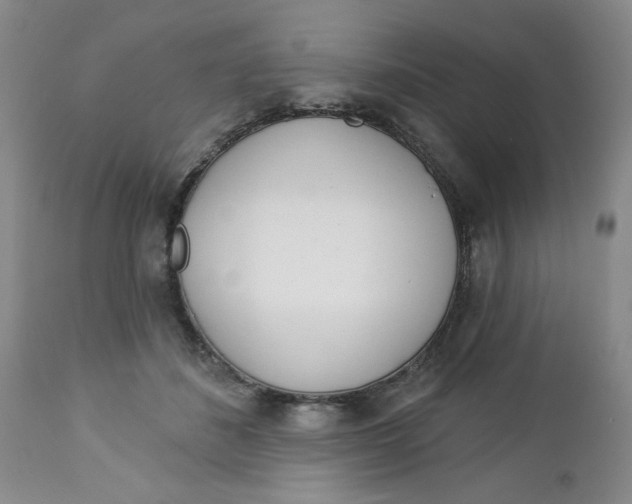 X0000112740508200909101519