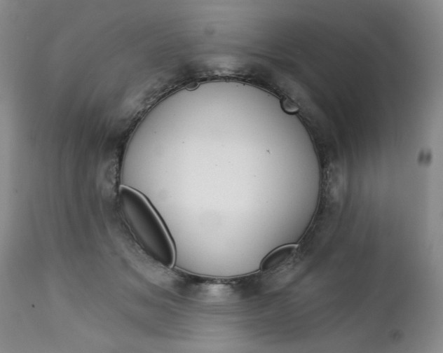 X0000112740509200909101519