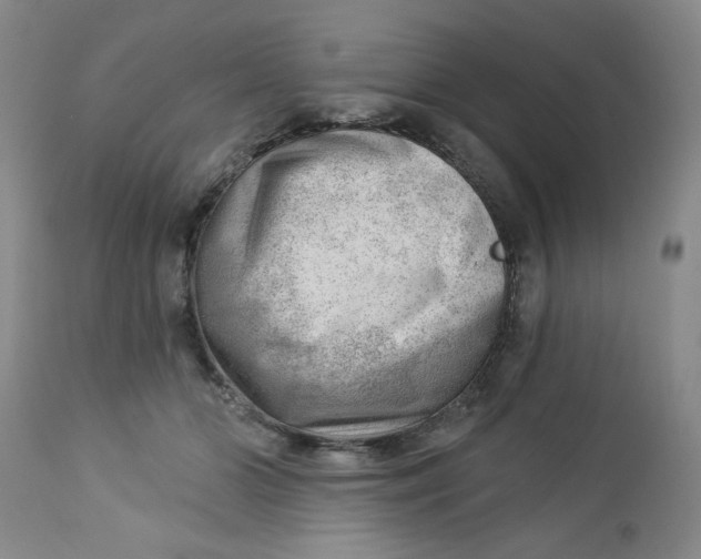 X0000112740510200909101519