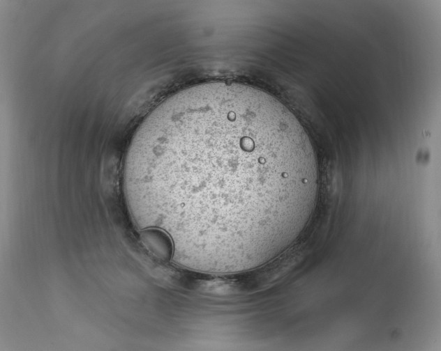 X0000112740511200909101519