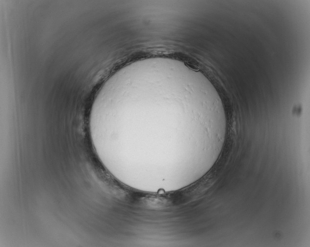 X0000112740512200909101519