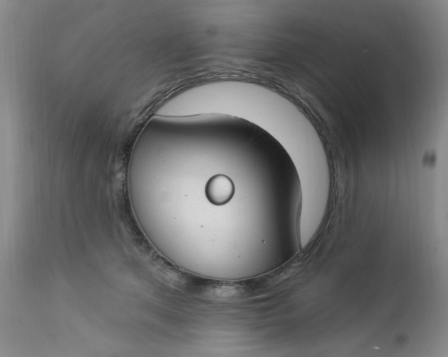 X0000112740513200909101519