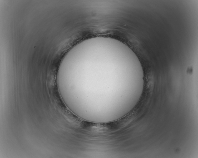 X0000112740515200909101519