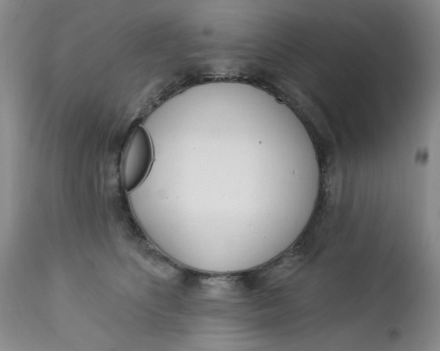 X0000112740516200909101519