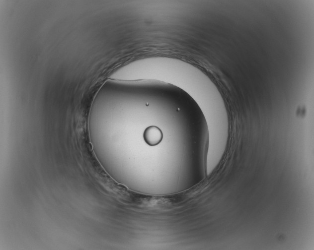 X0000112740517200909101519