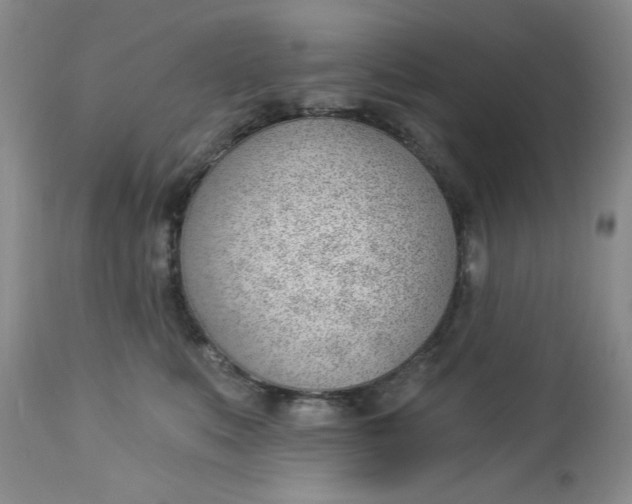 X0000112740519200909101519