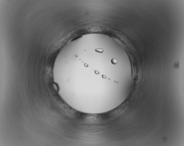 X0000112740521200909101518