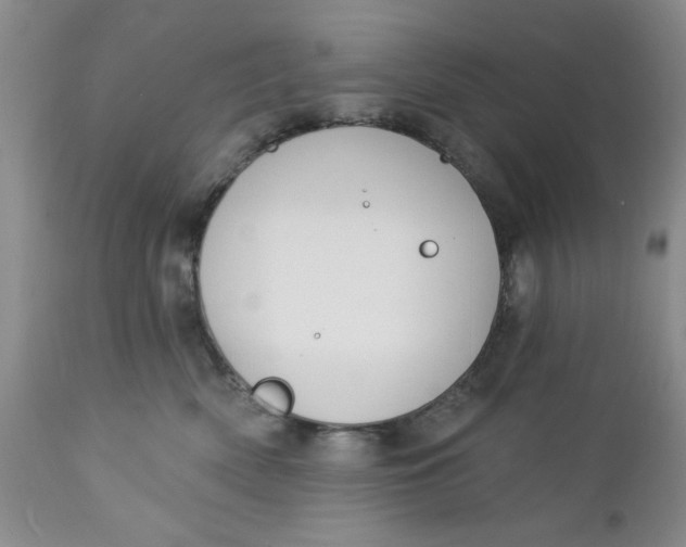 X0000112740522200909101518