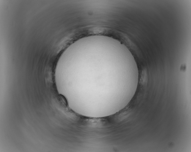 X0000112740524200909101518